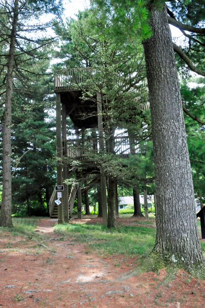 tower at Dawes Arboretum
